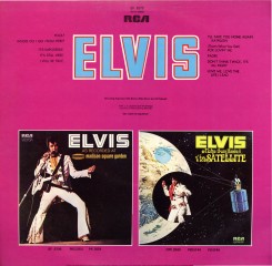 Album Sleeve - Elvis [AKA The Fool Album] - Back.JPG